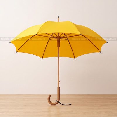 Làm dù in logo theo yêu cầu 1