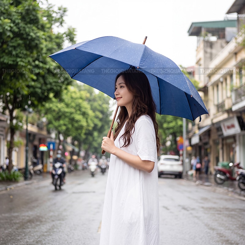 Nhà cung cấp ô dù quà tặng giá cạnh tranh 2