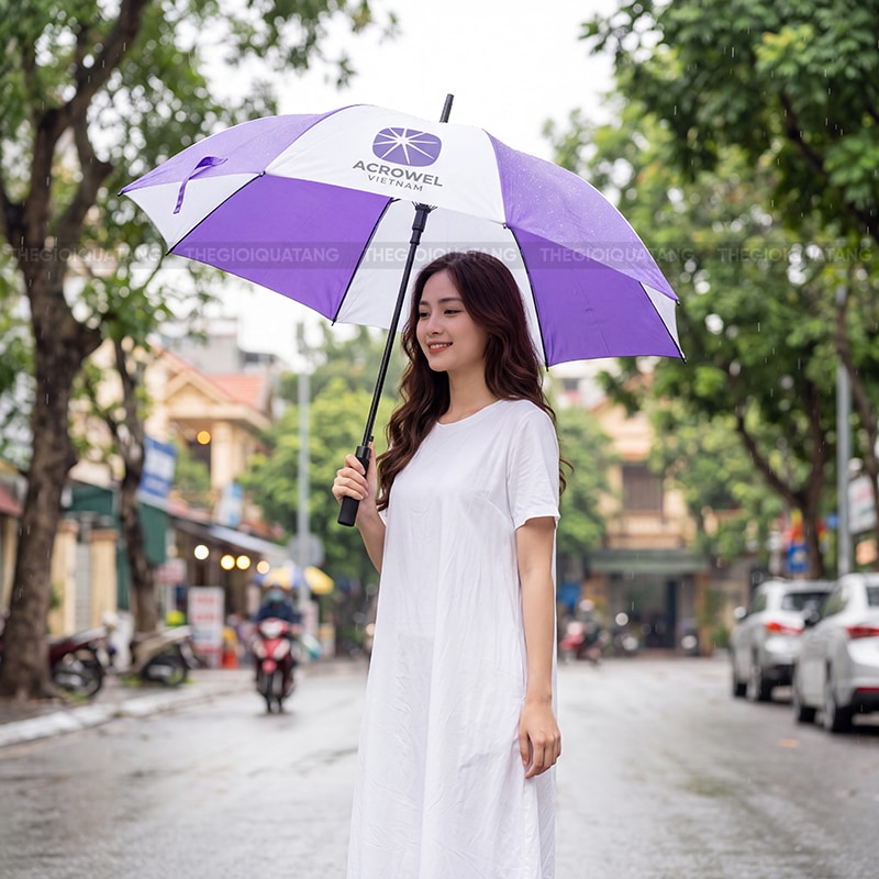 Ô dù quà tặng sản xuất theo yêu cầu 3